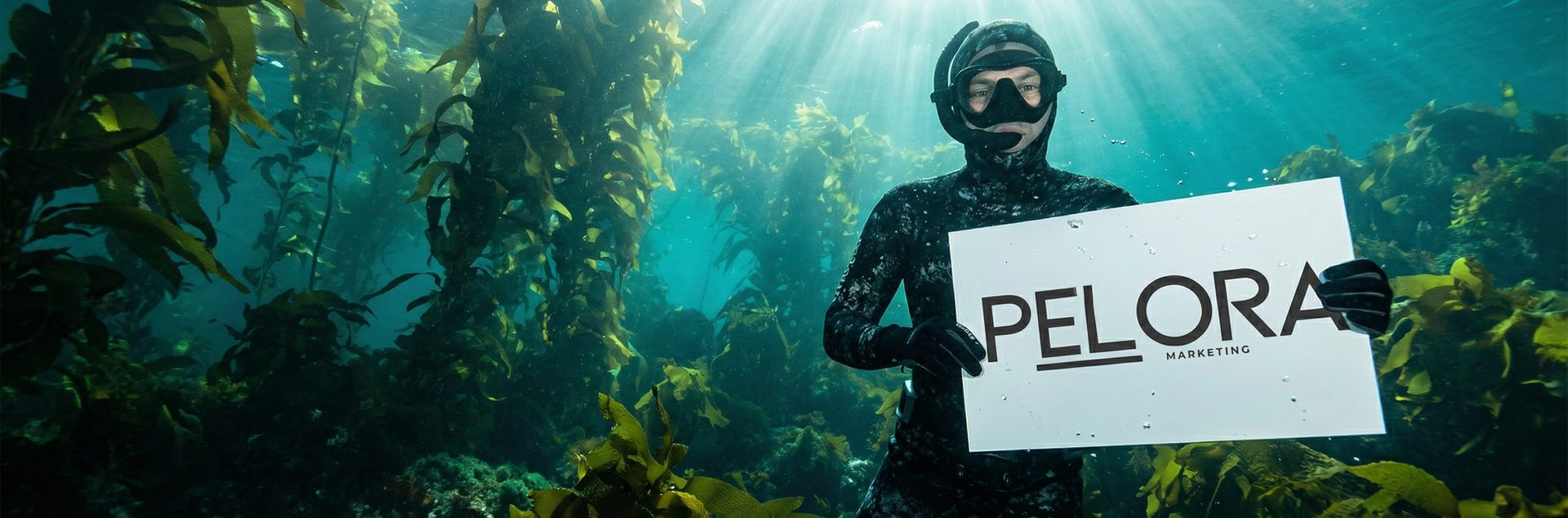 Real PELORA campaign — underwater brand shoot